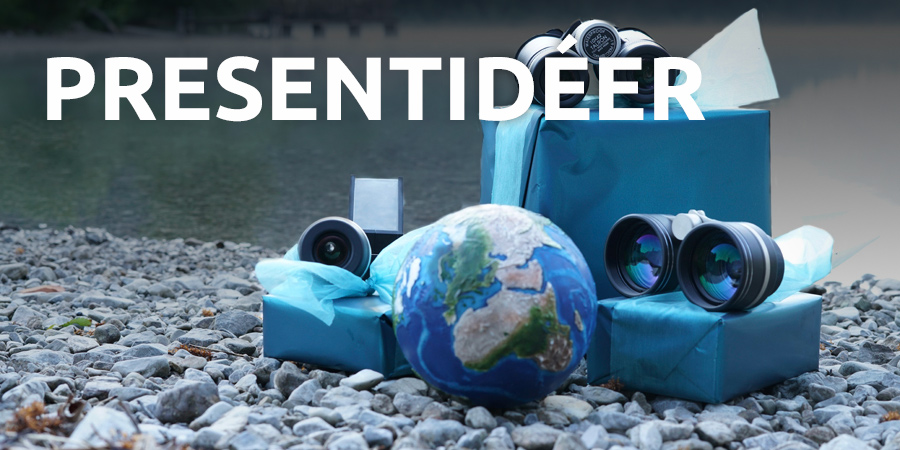 Presentidee
