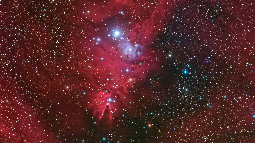 Julgransklustret NGC 2264 med Konnebulosan, en mörk nebulosa, direkt nedanför. Tragoolchitr Jittasaiyapan