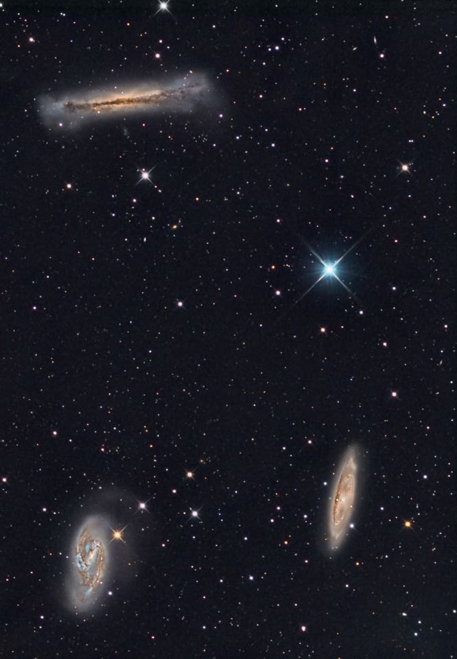 Leo-tripletten: M 66 längst ner till vänster, M 65 till höger.
M 65, ovanför NGC 3682. Utsikten är inte så lysande för den urbana observatören. Sven Junge