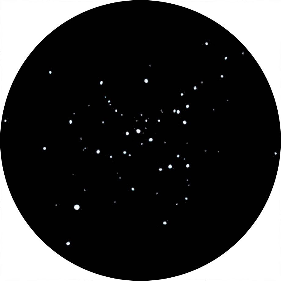 Teckning av Messier 41 med en
8-tums Newton vid 40x förstoring. Michael Vlasov