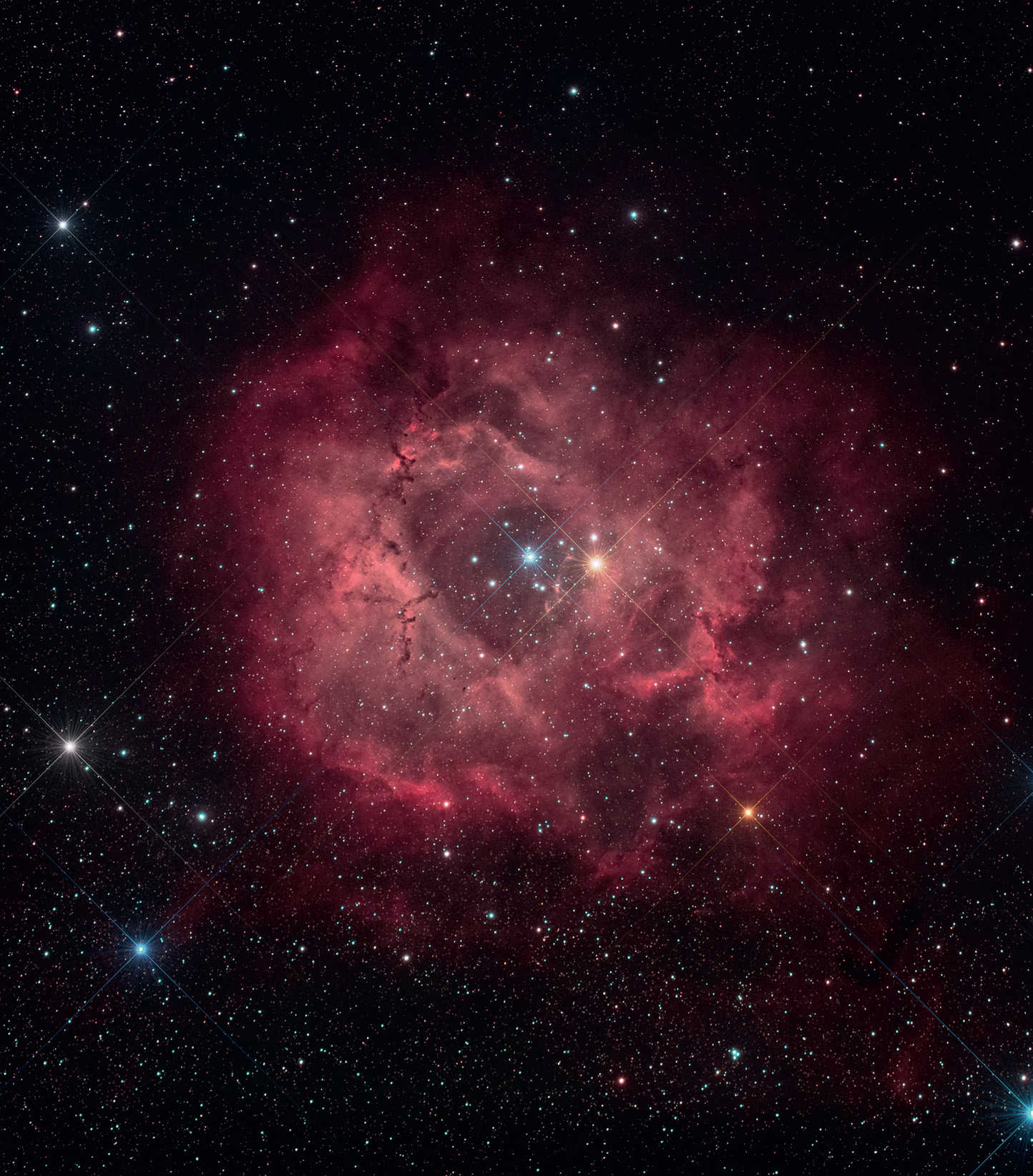 Bild av Rosettnebulosan (NGC 2244). Summerad bild från 14 exponeringar med en exponeringstid på 300 sekunder vardera (ISO 1600; total exponeringstid: 70 minuter). Ytterligare data som i bild 1. U. Dittler