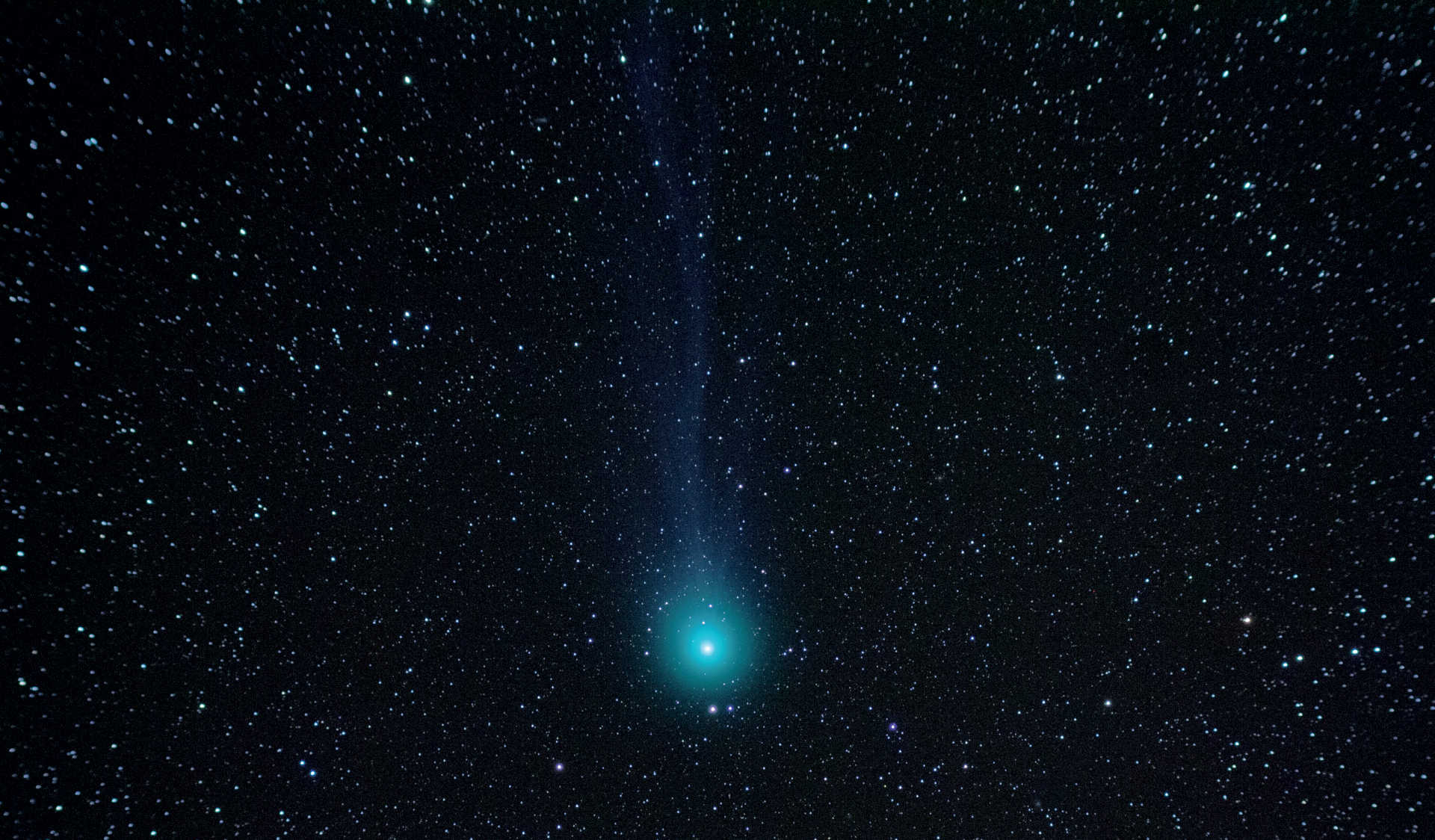 En särskild utmaning när man fotograferar kometer är att få kometens svans att synas. På denna bild från den 7 februari 2015 framträder komet C/2014 Q2 (Lovejoy) med sin diskreta svans. Fotografiet togs med en Canon DSLR monterad på ett Takahashi FS-60-teleskop (brännvidd: 355 mm; f/5,9). Summabilden är ett resultat av en addition av fem bilder, var och en med en exponeringstid på 120 sekunder. U. Dittler