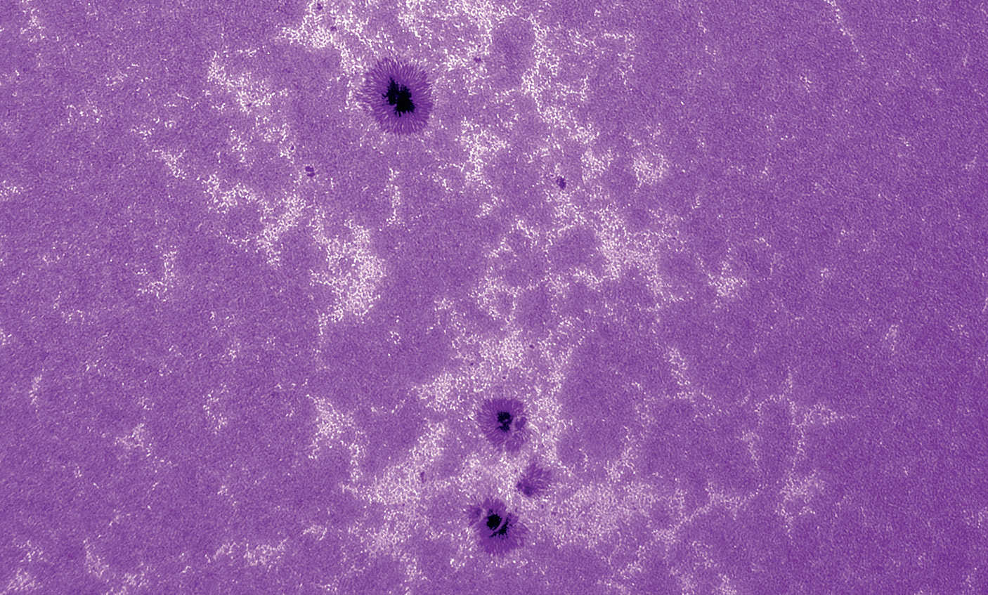 Kalciumbild av solen. Lunt CaK-modul (B600) på refraktor med brännvidd 2 250 mm, öppning 130 mm, okyld CCD-kamera; 500 av
2 500 enskilda bilder bearbetade i Avistack och Photoshop. U. Dittler