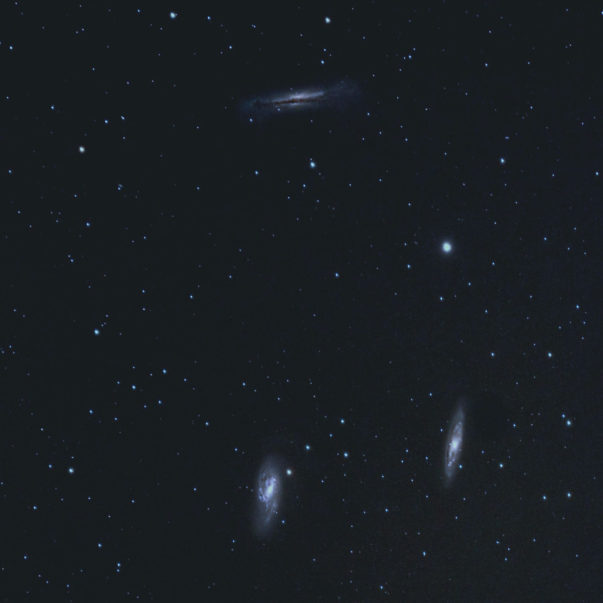 Två höjdpunkter och en utmaning: M 66 (nere till vänster), M 65 och NGC 3628 (överst). H. Fischer