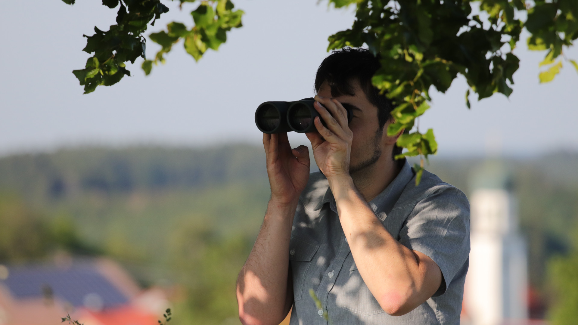 Fernglas Marcus Beobachtung Blätter