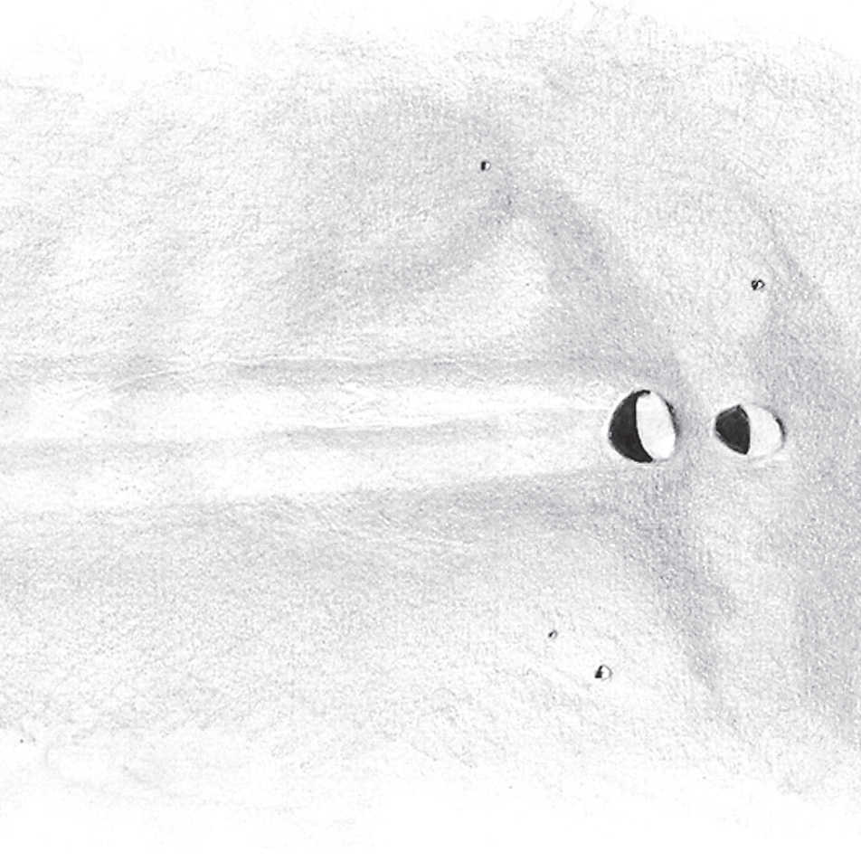 Teckning av Messier och Messier A vid solnedgången genom ett teleskop med 150 mm öppning, 180x förstoring. L. Spix