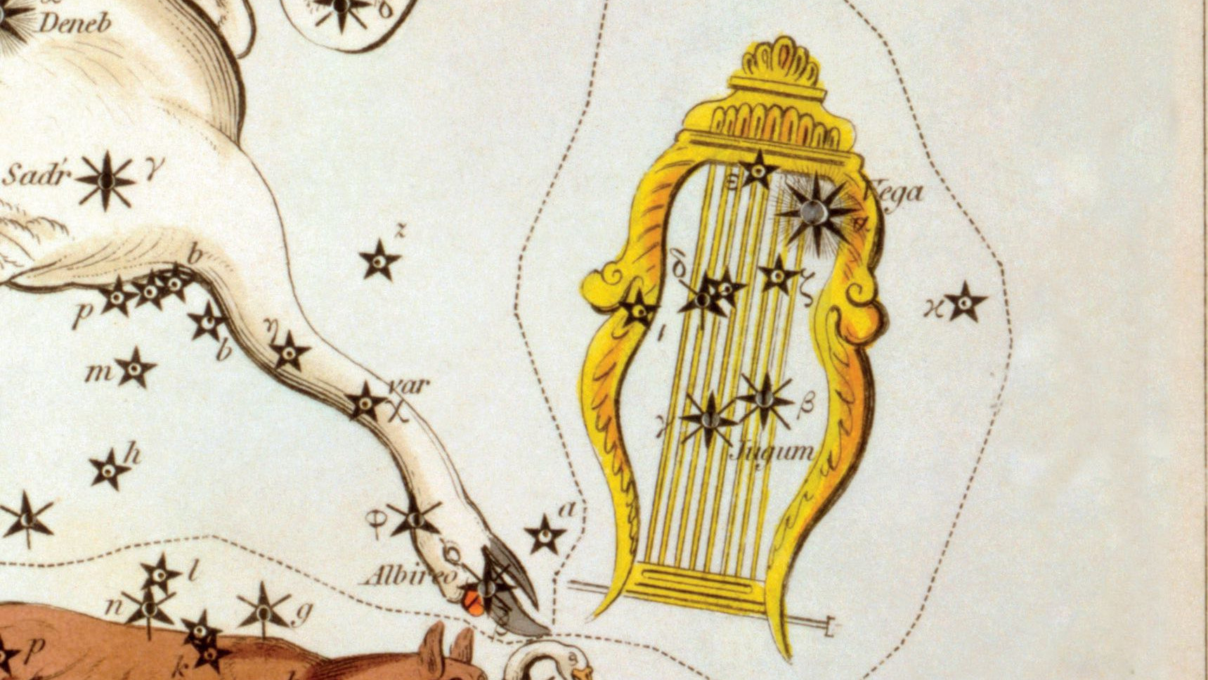En äldre framställning av Lyrans stjärnbild med dess huvudstjärna Vega, en av hörnstenarna i sommartriangeln.