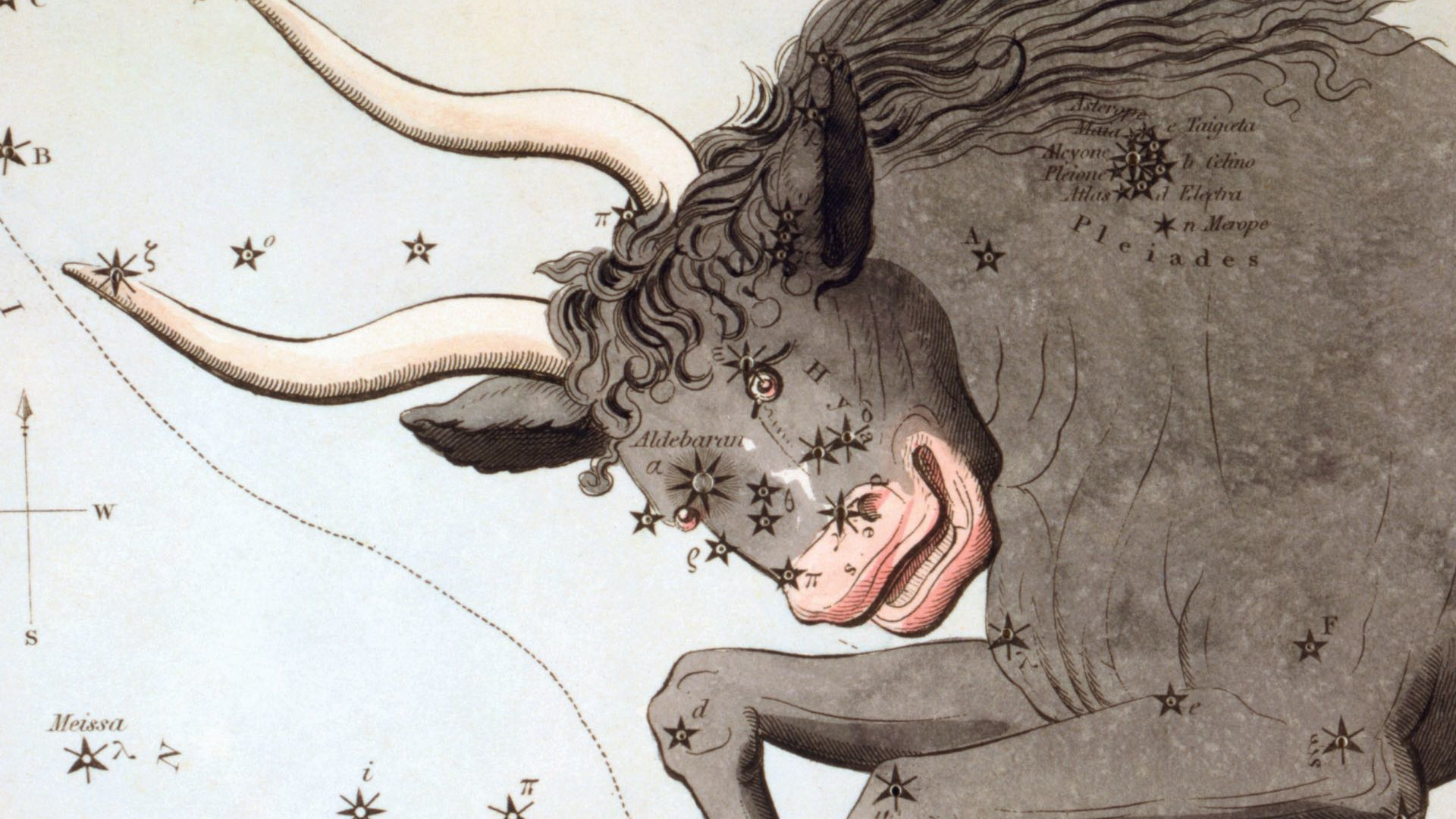 Medan gamla stjärnkartor visar en mäktig tjur, kan man på natthimlen oftast bara urskilja dess öga, två hornspetsar och två stjärnhopar med blotta ögat.