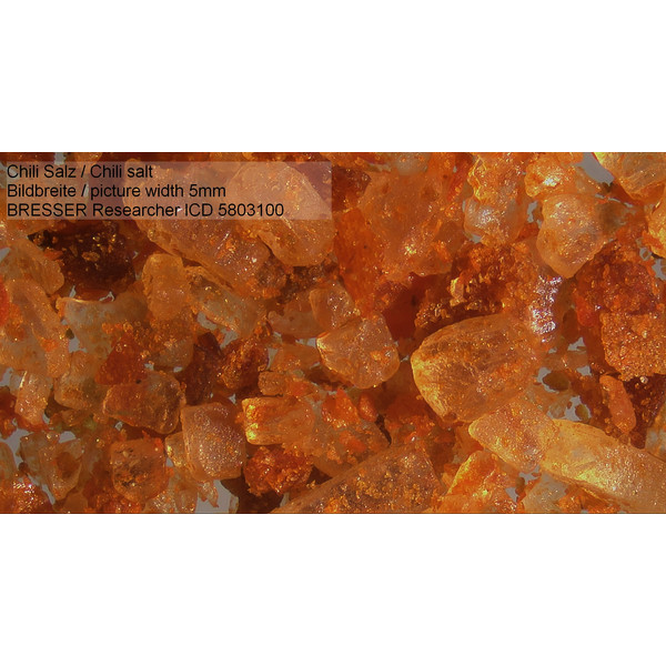 Bresser Stereomikroskop Researcher ICD LED, Binokular