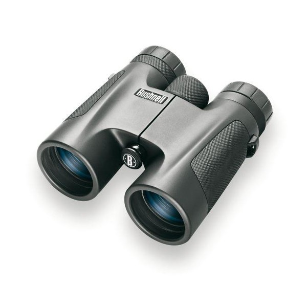Bushnell Kikare Powerview 10x32, takkant