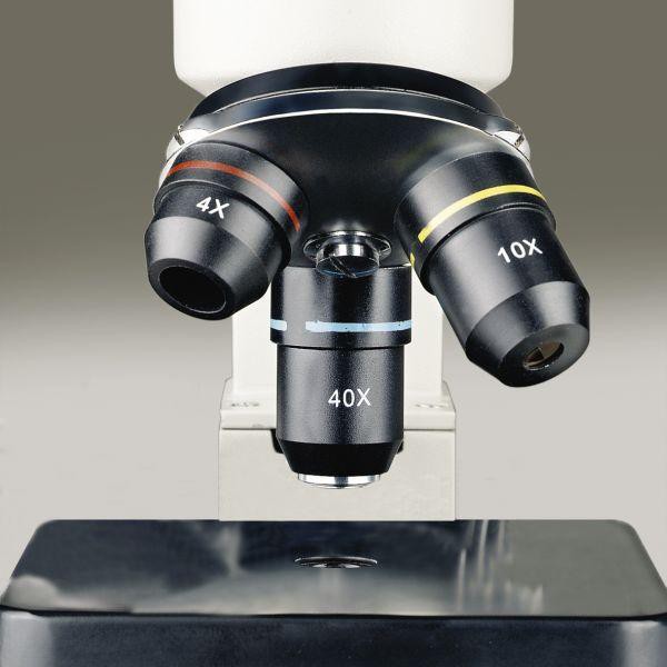 Bresser Mikroskop Biolux NV, 20x-1280x