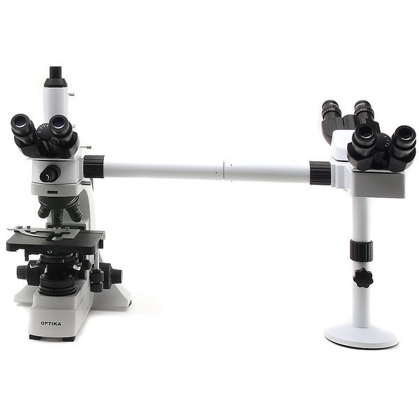 Optika B-500Ti-3, diskussionsmikroskop, 3 huvuden, trinokulärt, 1000x, LED