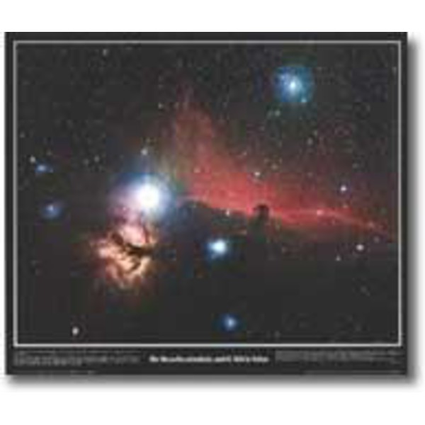 Poster Nebulosan med hästhuvudet