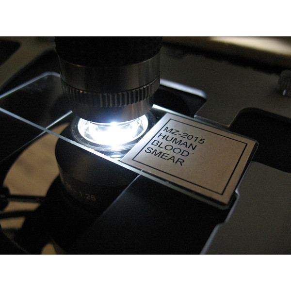 Optika -mikroskop B-383DKIVD, trino, mörkfält, N-PLAN,100x W-PLAN, 40x-1000x, IVD