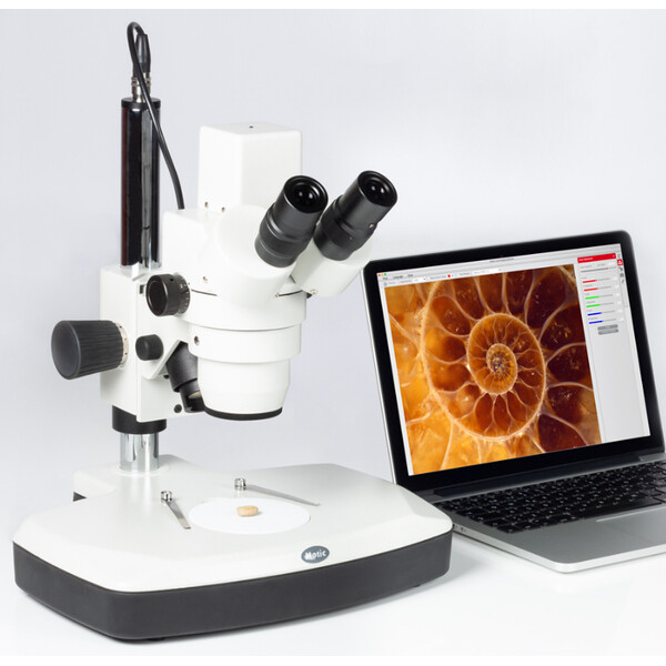 Motic Zoom-stereomikroskop DM-143-FBGG, Stereo