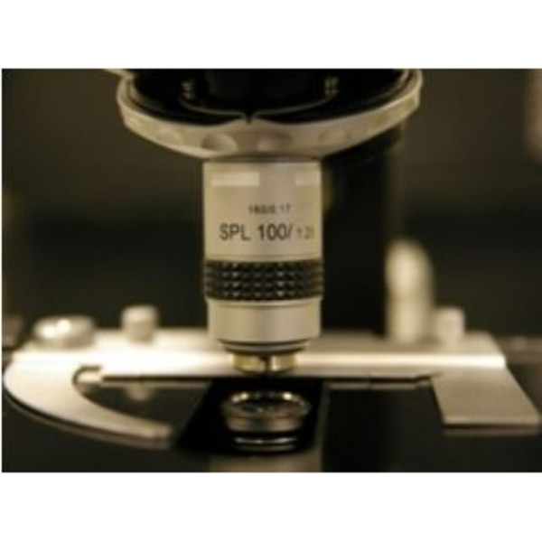 Hund Mikroskop H 600 LL HP 100, mörkt fält
