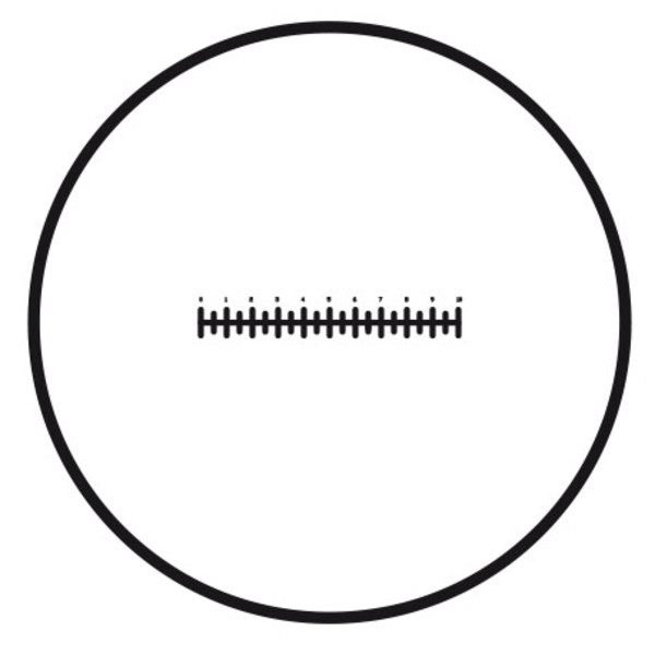 Motic trådkorsskala (10 mm i 100 delar), (Ø25 mm)