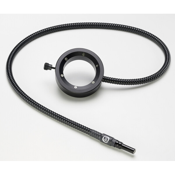 SCHOTT Ringlampor, Ø i=66 mm för KL-300