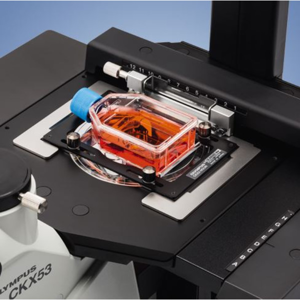 Evident Olympus Invert mikroskop Olympus CKX53 IPC/IVC V1, PH, trino, infinity, achro, 10x, 20x, 40x, LED