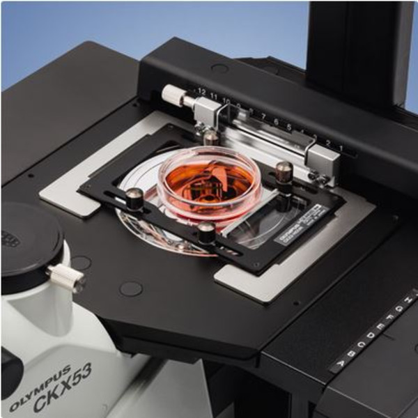 Evident Olympus Invert mikroskop Olympus CKX53 IPC/IVC V1, PH, trino, infinity, achro, 10x, 20x, 40x, LED
