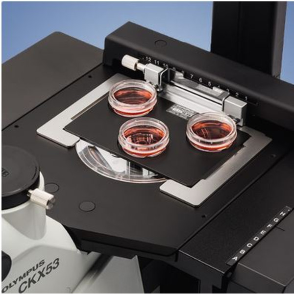 Evident Olympus Invert mikroskop Olympus CKX53 IPC/IVC V1, PH, trino, infinity, achro, 10x, 20x, 40x, LED