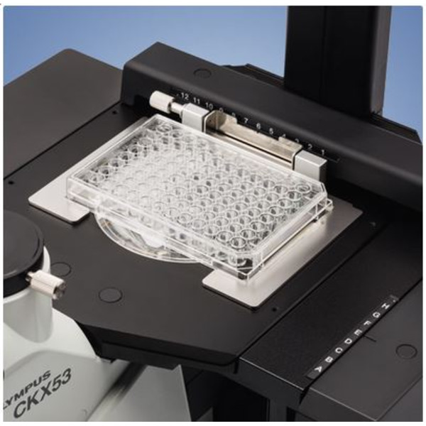 Evident Olympus Invert mikroskop Olympus CKX53 IPC/IVC V1, PH, trino, infinity, achro, 10x, 20x, 40x, LED