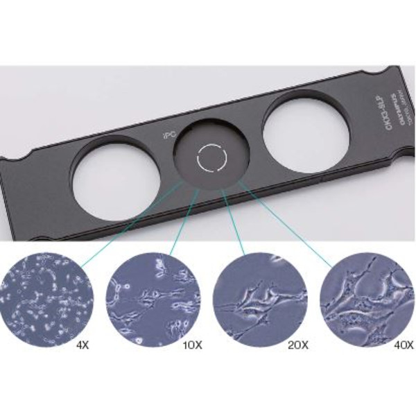 Evident Olympus Invert mikroskop Olympus CKX53 IPC/IVC V1, PH, trino, infinity, achro, 10x, 20x, 40x, LED