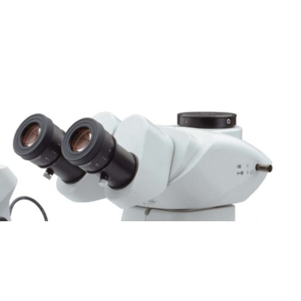 Evident Olympus Zoom-stereomikroskop Olympus SZX7 genomlyst ljus, trino, achro, 1x, LED