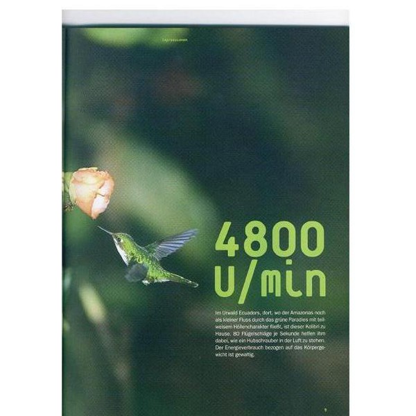DJW Verlag Guide: Observation