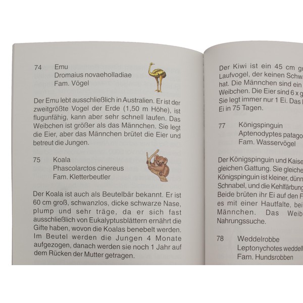 Stellanova Barnglob Glob för barn med djurencyklopedi 881518