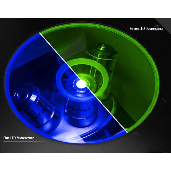 Optika mikroskop IM-3FL4-UK, trino, inverterad, FL-HBO, B&G filter, IOS LWD U-PLAN F, 100x-400x, UK