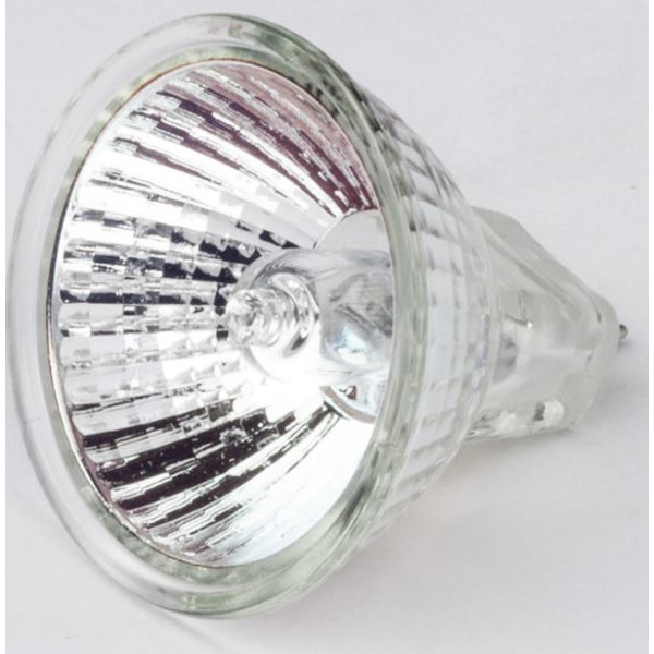 Motic Halogen ersättningslampa 12V/10W för R2GG-stativ (Direktljus) (SMZ-161)
