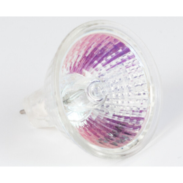 Motic Halogen ersättningslampa 12V/20W, genomlyst ljus, (R2GG stativ) (SMZ-161)