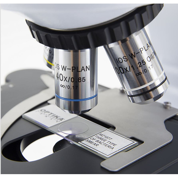 Optika -mikroskop B-510-2IVD, trino, 2-huvud, W-PLAN IOS, 40x-1000x, IVD