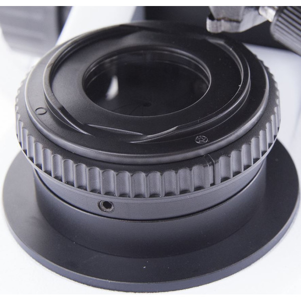 Optika mikroskop B-510-2FIVD, trino, 2-huvud (face-to-face), W-PLAN IOS, 40x-1000x, IVD