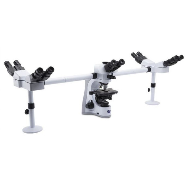Optika mikroskop B-510-5IVD, trino, 5-huvud, W-PLAN IOS, 40x-1000x, IVD