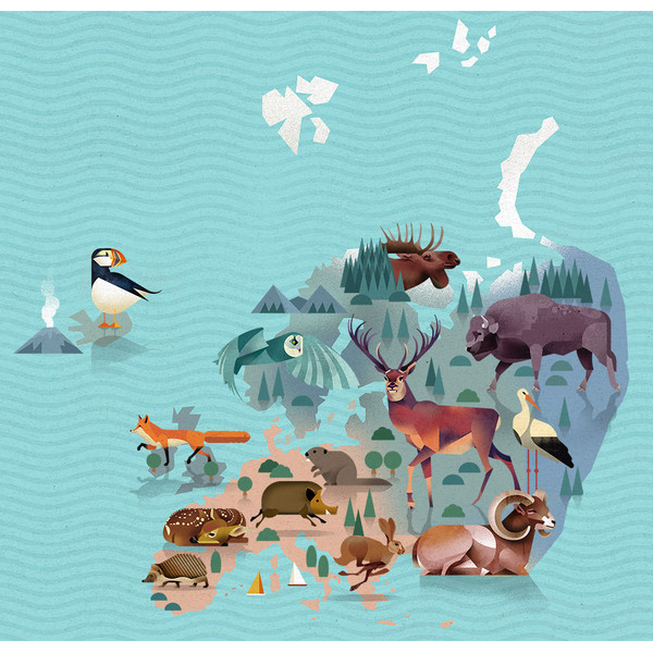 Marmota Maps Världskarta Djurens värld
