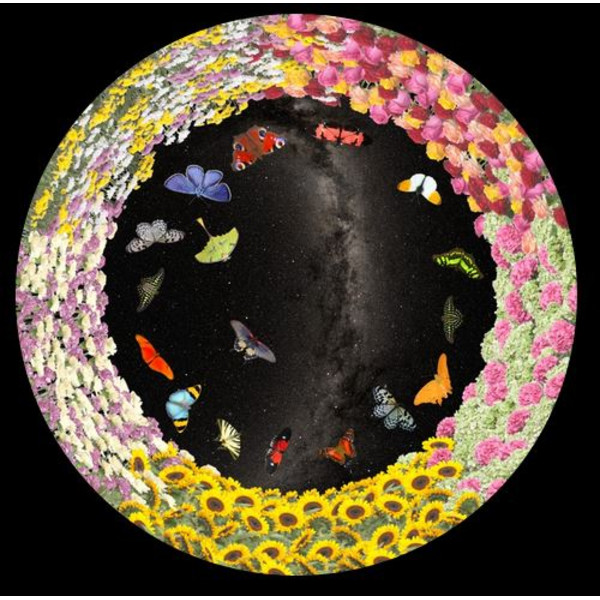 astrial Skiva för Sega Homestar Planetarium Blommor och fjärilar
