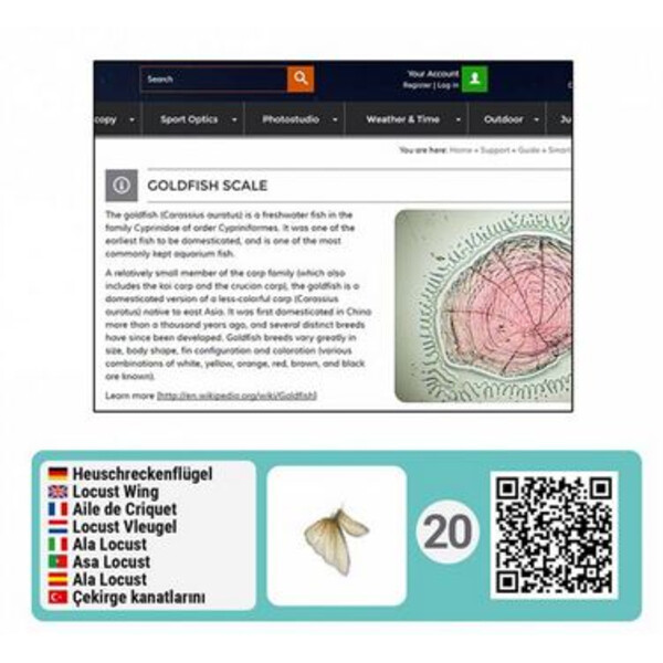 Bresser Junior Smart Mikroskopi tillbehörssats med QR-koder