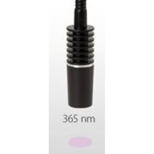 Euromex belysningsstation LE.5212, 2 sv.h. 365nm, ringljus, genomskinlig.