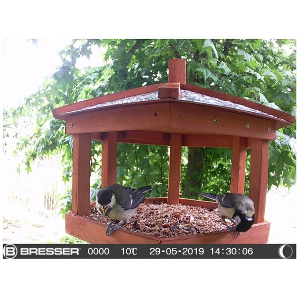 Bresser Viltkamera SFC-1 för små djur och fåglar