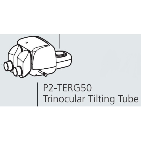 Nikon Stereohuvud P2-TERG 50 trino ergo tube (100/0 : 50/50), 0-30°