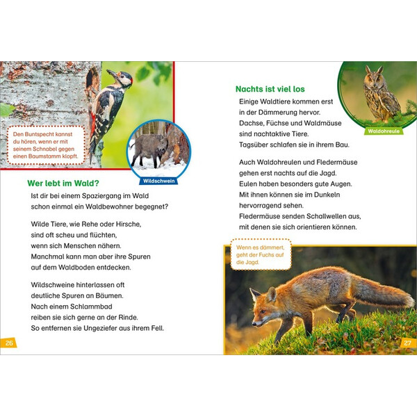 Tessloff-Verlag WAS IST WAS Första läsningen: Upptäck naturen