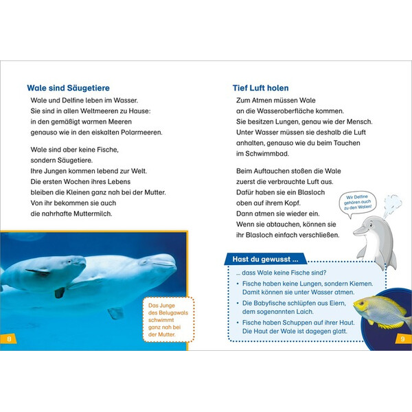 Tessloff-Verlag WAS IST WAS Första läsningen: Valar och delfiner