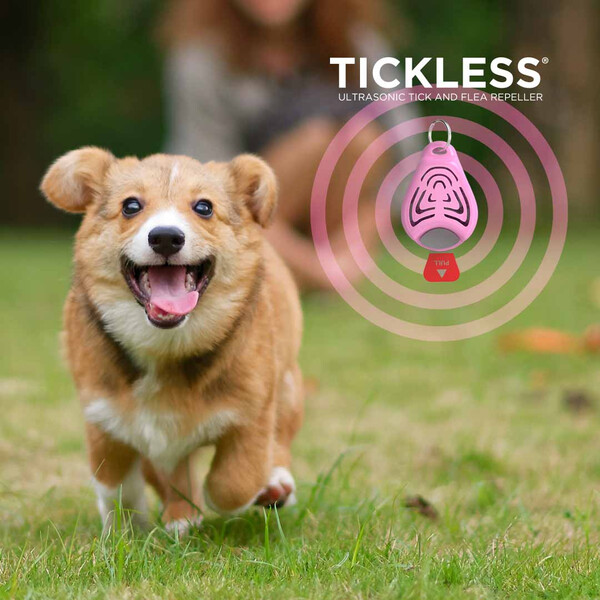 Tickless Husdjur