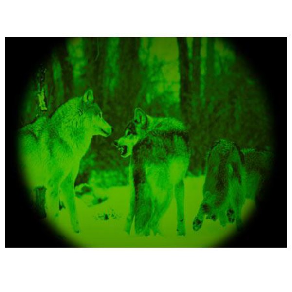 ATN Mörkersikte Night Storm-2IA 3,5x50, svart