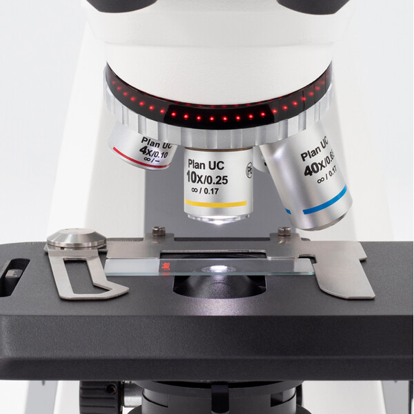 Motic mikroskop Panthera cloud, bino, digital, oändlighet, plan, achro, 40x-1000x, 10x/22mm, Halogen/LED, HDMI, 8MP