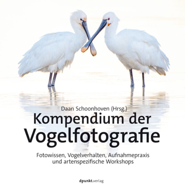 dpunkt Kompendium om fågelfotografering