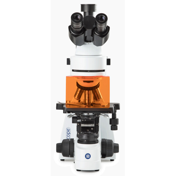 Euromex mikroskop BS.3153PLFi, trino, 40x-1000x