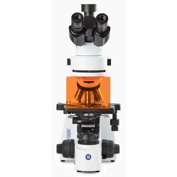 Euromex mikroskop BS.3153-PLFi, trino, 40x-1000x